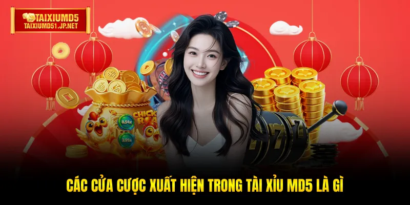 Các cửa cược xuất hiện trong Tài Xỉu MD5 là gì Các cửa cược xuất hiện trong Tài Xỉu MD5 là gì